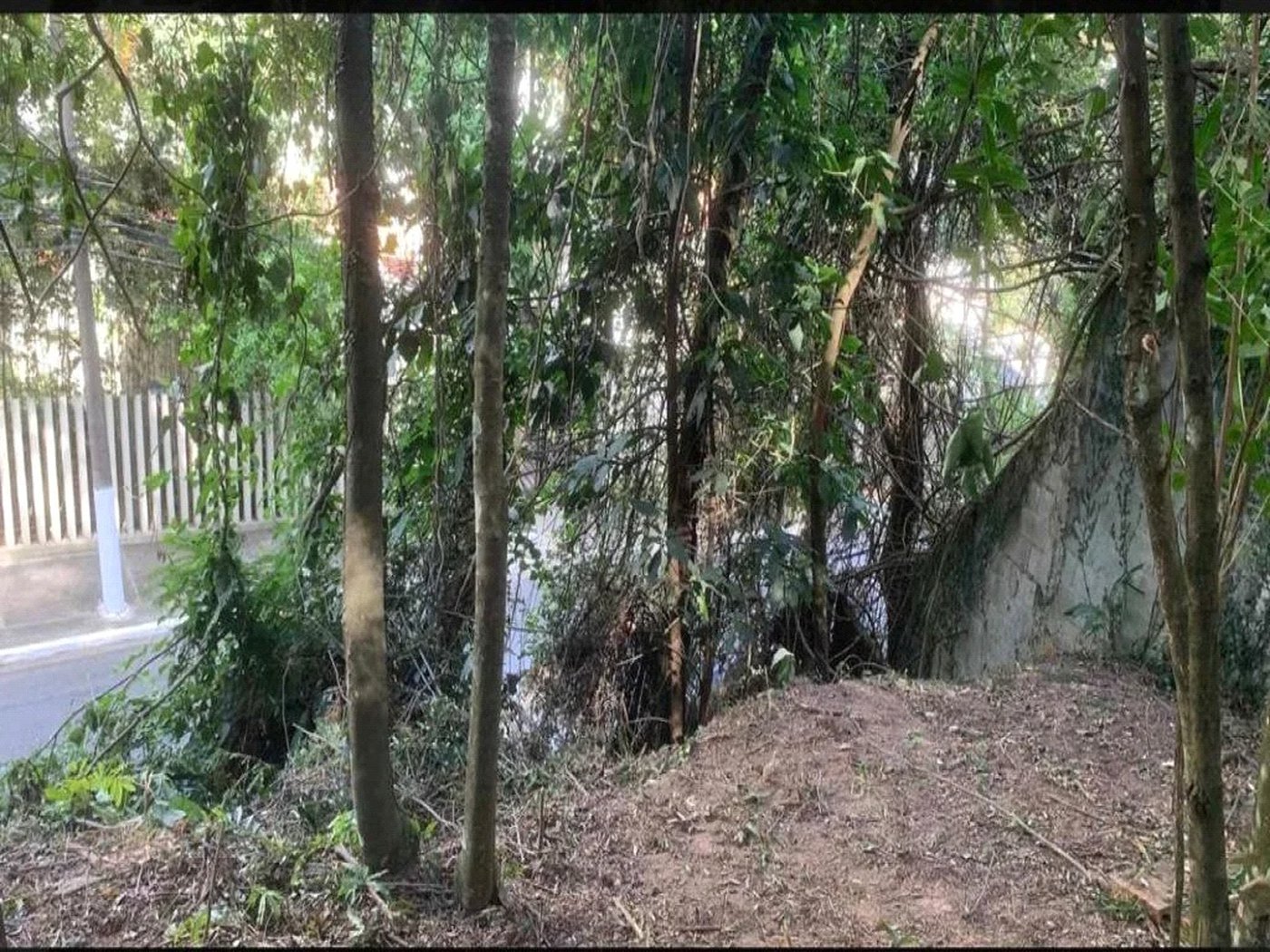 Terreno à venda em Jardim Peri Peri, São Paulo, SP