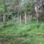 Chácara - São Carlos