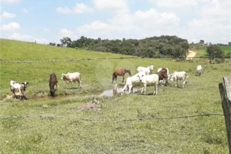 Investidores para loteamento, não percam essa oportunidade!!!!