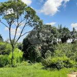 Casa Térrea à venda com 4 suítes em Alto da Boa Vista, São Paulo, SP
