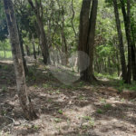 Terreno de 3.150m². Região de Chácaras no Jardim Estancia Brasil, Atibaia, SP