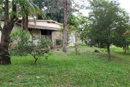 Sitio para venda.