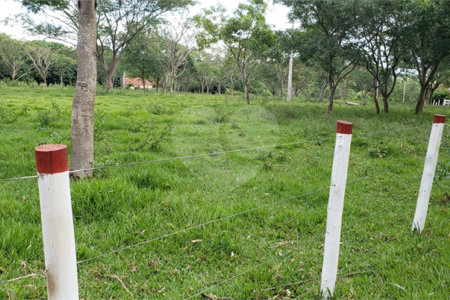 Sitio para venda.
