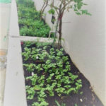 APARTAMENTO A VENDA NA VILA MARIANA - 100M2 - 3 DORMS (1 SUÍTE) E 1 VAGA DE GARAGEM