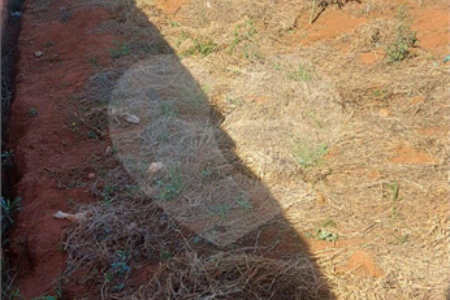 Terreno em Araraquara.