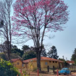 Chácara em água vermelha, localizada em ponto comercial.
