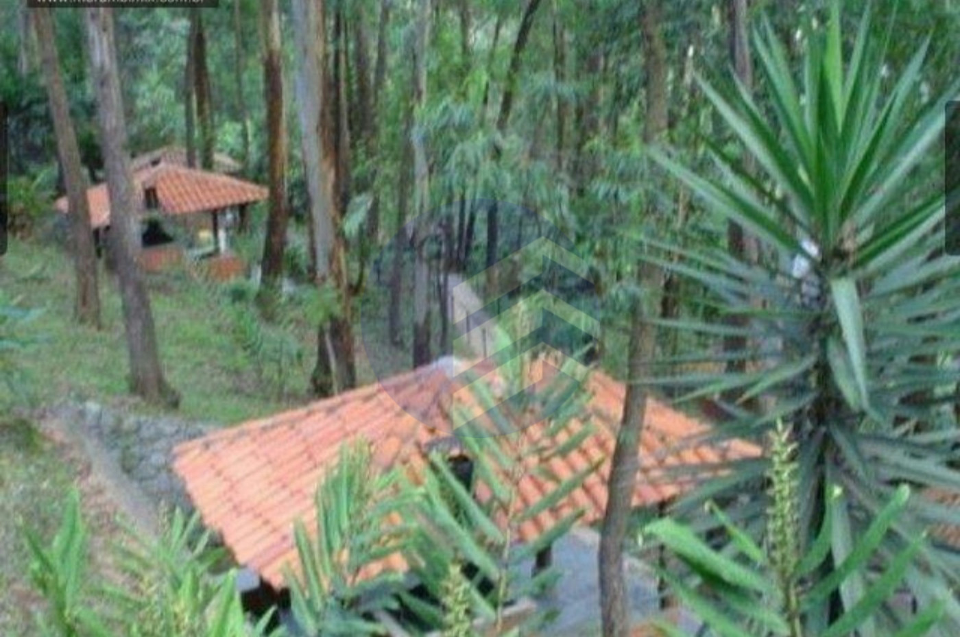 Apartamento à venda com 3 quartos, sendo 1 suíte, em Vila Andrade, São Paulo - SP