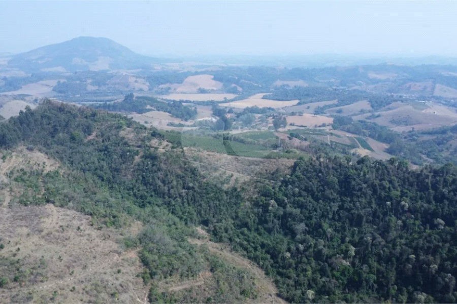 FAZENDA FORTALEZA, Caldas - MG