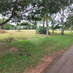 Loteamento Residencial no Condomínio Vila Pinhal do Broa.