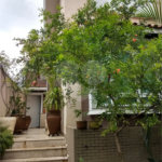 Sobrado Residencial Venda- 3 dormitórios, 1 suíte, 3 vagas- Tucuruvi - São Paulo/SP