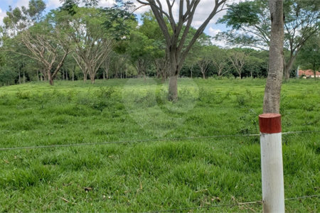 Sitio para venda.