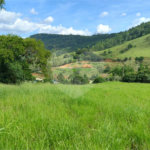 GLEBAS RURAIS EM PIRACAIA A PARTIR 20.000 M², EXCELENTE PARA CHÁCARAS E FAZENDINHAS