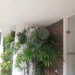 Apartamento à venda com 3 quartos, sendo 1 suíte, em Higienópolis, São Paulo, SP