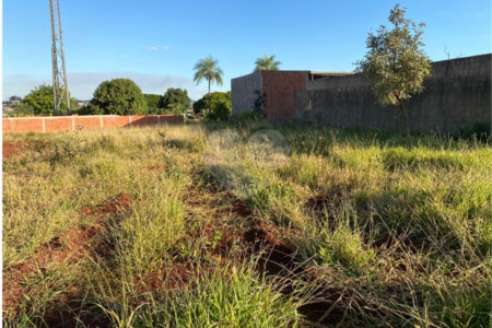 Terreno à venda Rua Lucélia, nº 295 – Jardim Coimbra