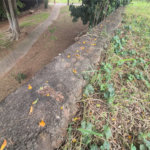 TERRENO À VENDA | SANTA ROSA | PIRACICABA/SP