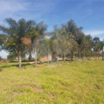 Sitio no Jardim Embaré