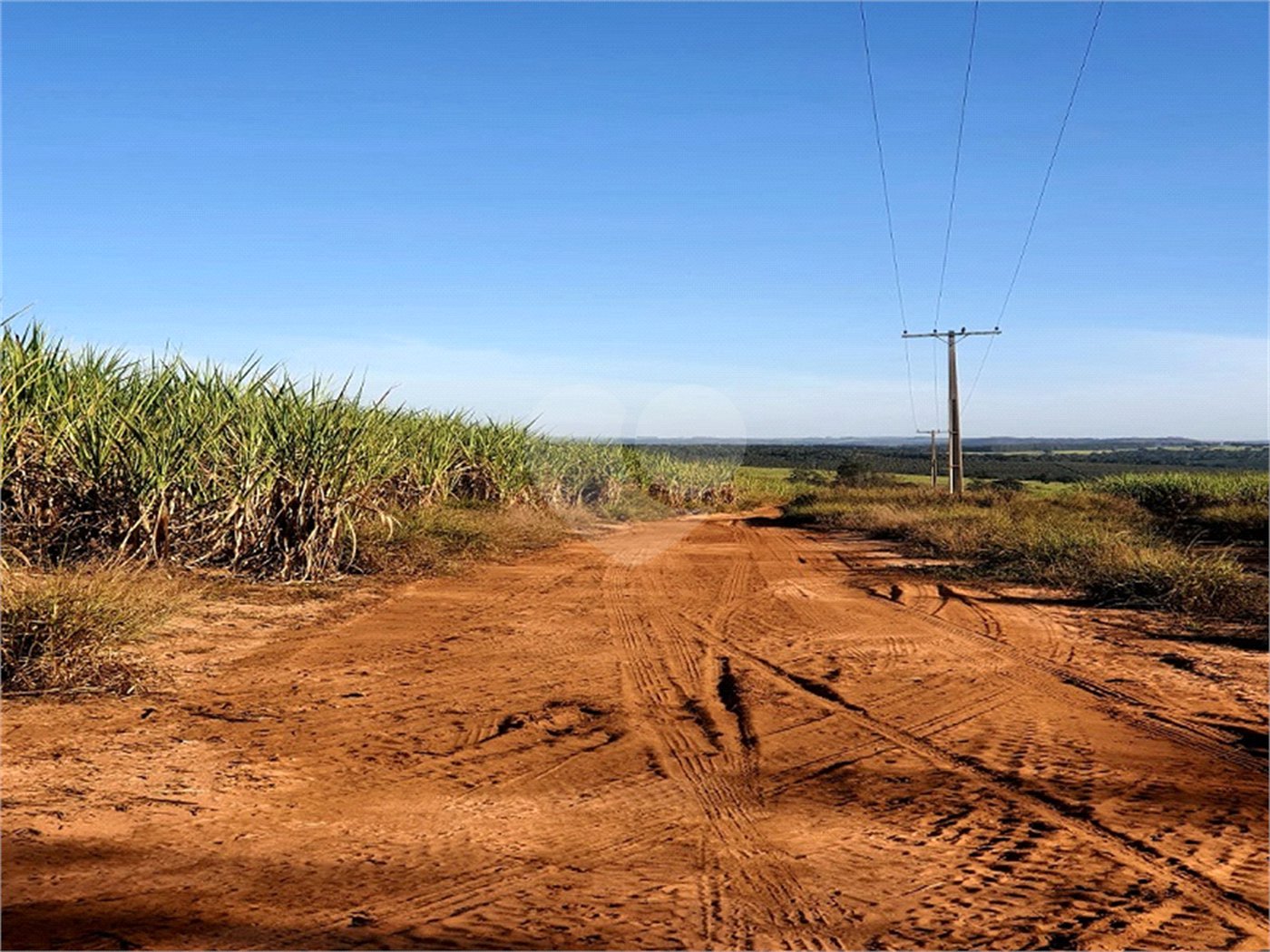 Fazenda em Ribeirão Bonito