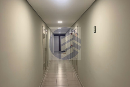 Apartamento para alugar com 3 quartos, sendo 1 suíte, em Vila Mascote, São Paulo - SP