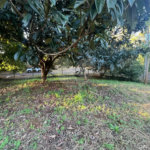 Terreno à venda no bairro Santa Rita – Piracicaba/SP