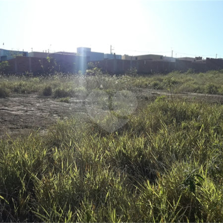 Vendo Terreno no Parque Industrial em São Carlos SP