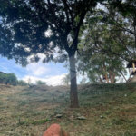 Terreno à venda em Monterrey, Louveira, SP