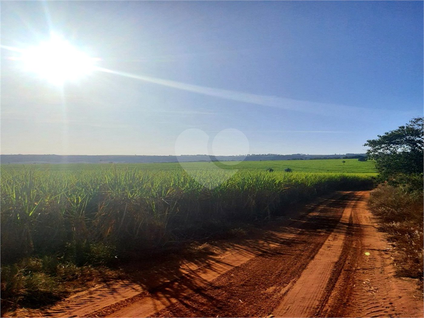 Fazenda em Ribeirão Bonito