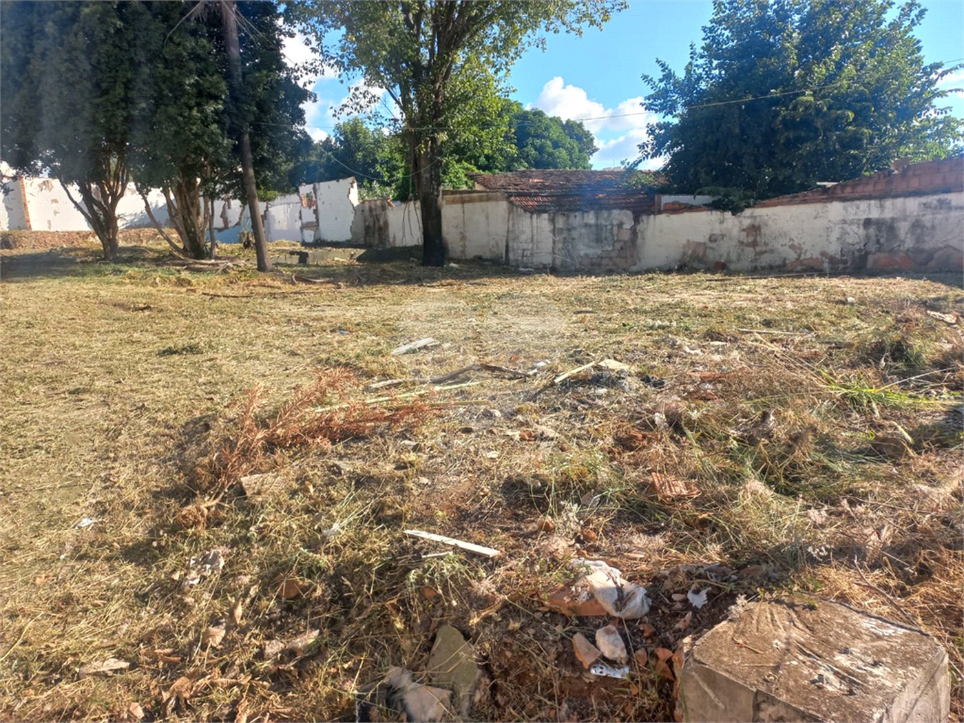 Terreno 784m² proximo à Santa Casa e a USP - Investimento