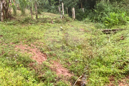Belíssima Chácara 7 alqueires com estrutura completa e pronto para uso, venda ou Permuta.