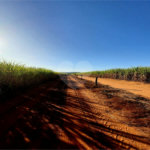 Fazenda em Ribeirão Bonito