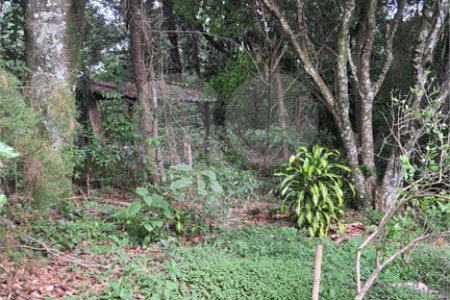 Chácara - São Carlos