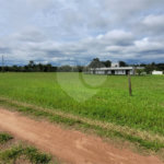 Loteamento no Condomínio Vila Pinhal do Broa