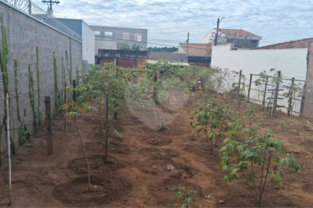 Terreno a venda no Jardim Munique