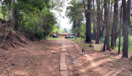 Sítio à venda com 6 quartos, sendo 1 suíte,  no Centro, Analândia, SP