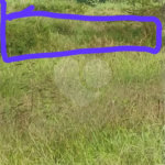 Sítio em Monte Mor (SP) a venda.