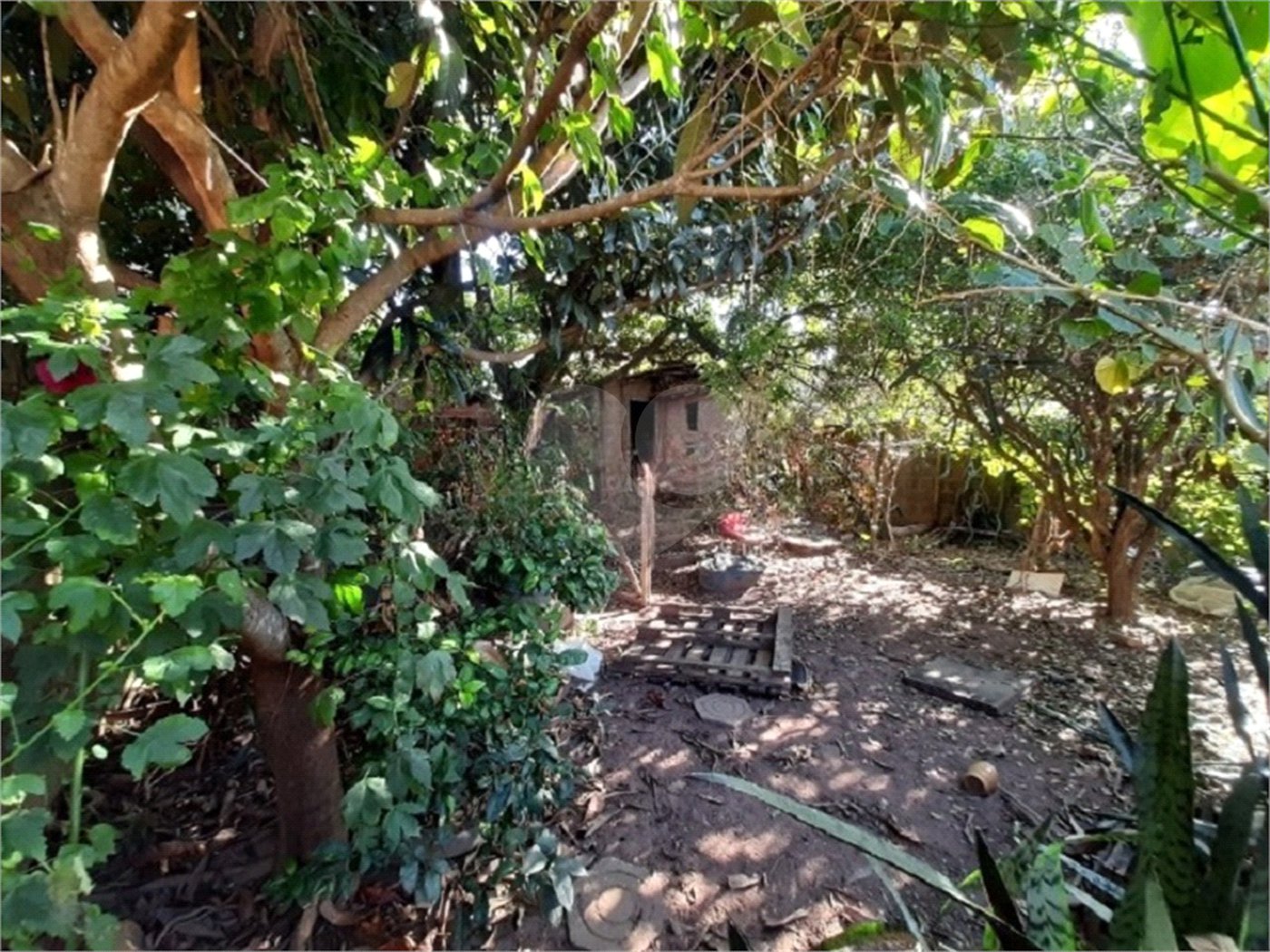 Casa térrea para Jardim Bandeirantes.