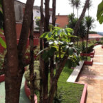 Cobertura à venda com 3 quartos, sendo 1 suíte, em Morumbi, São Paulo, SP