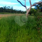 Terreno em Água Vermelha