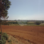 Excelente sítio de 27 alqueires, ótima localização em São Carlos.
