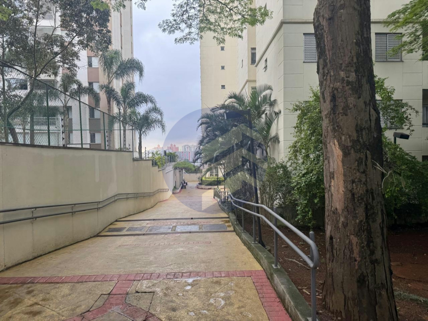 Apartamento para alugar com 3 quartos em Jardim Esmeralda, São Paulo - SP