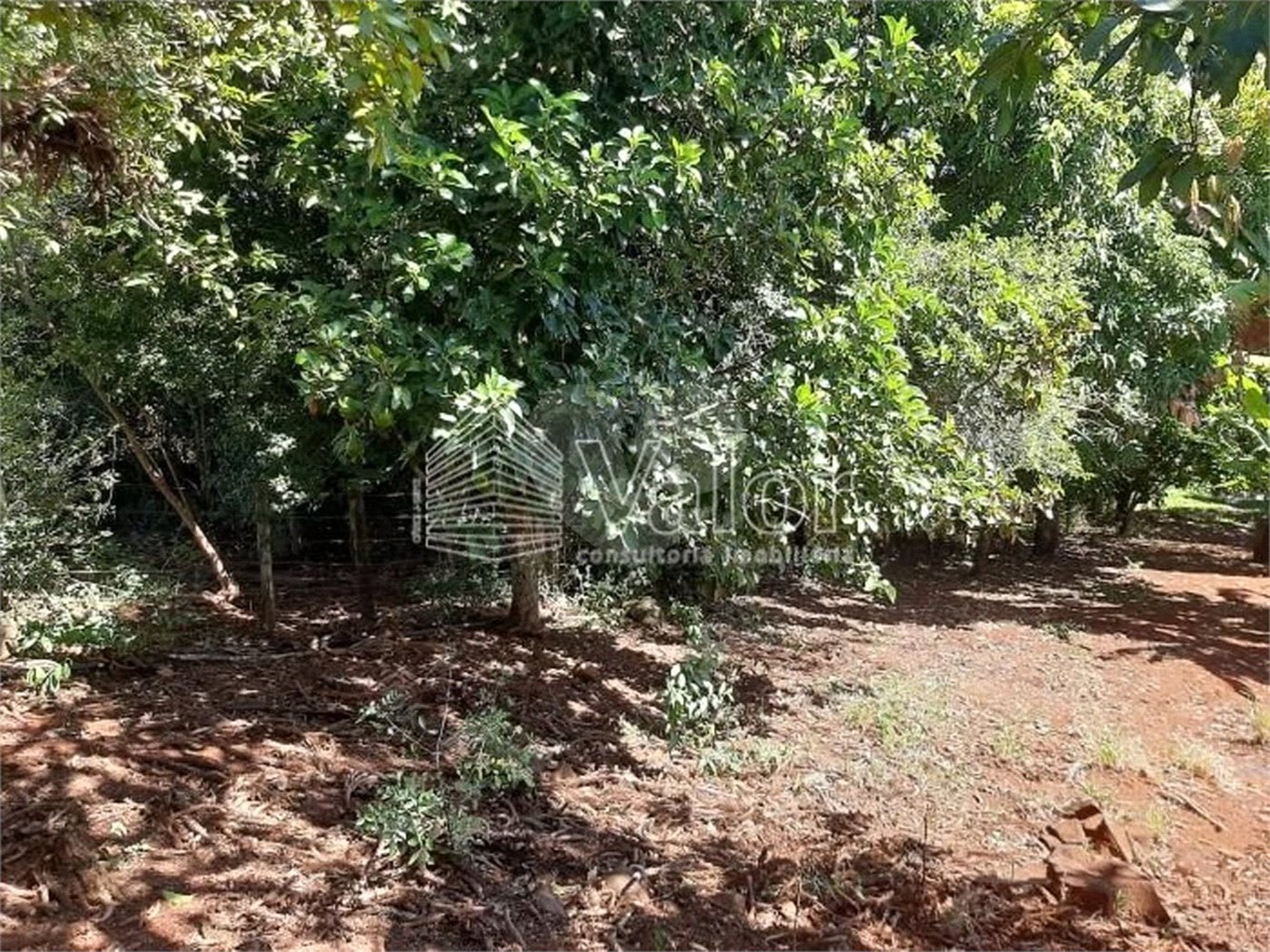 Sitio São João - Km 258