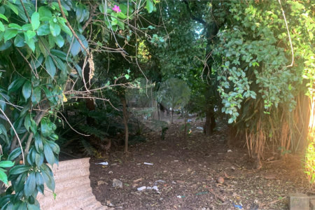 Terreno com 1.000,00 m²
