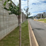 Terreno à Venda no Condomínio Faber IV – São Carlos/SP
