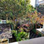 Casas de dois andares à venda em Parque Bristol