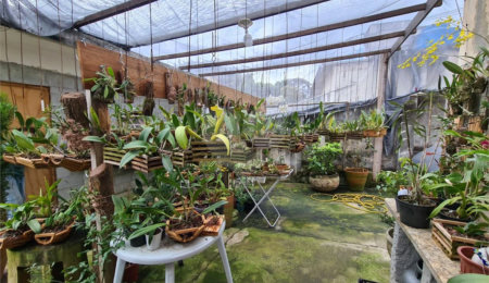 Terreno à venda em Vila Pirajussara, São Paulo, SP