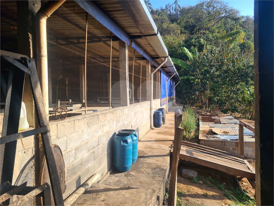 VENDA SÍTIO 48 hectares com estruura para granja, hidroponia e gado