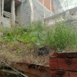 Terreno com 6 casas em 293m² de área total.