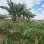 Terreno no Arcoville 260m² de esquina
