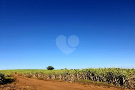 Fazenda em Ribeirão Bonito