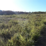 Vendo Terreno no Parque Industrial em São Carlos SP