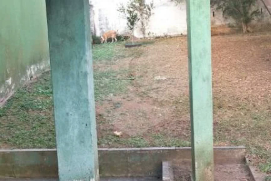 Casa á venda - Jabaquara